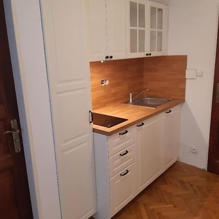 Vila Johanka & Apartments Český Krumlov Εξωτερικό φωτογραφία